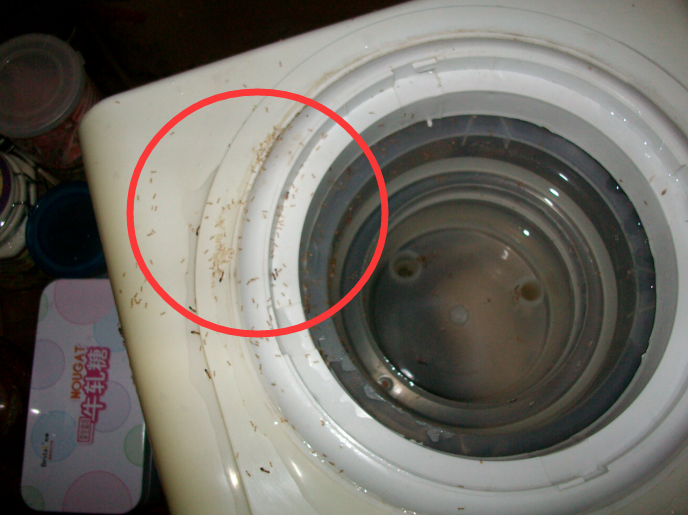 如何清洗饮水机内胆 饮水机坏了维修方法【详解】插图