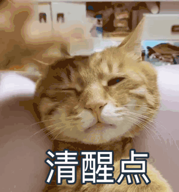 谷爱凌竟然都不知道的事!插图2 谷爱凌竟然都不知道的事!插图2