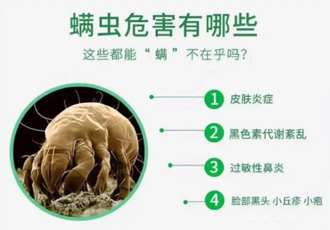 免费除螨报名正式启动!!插图6 免费除螨报名正式启动!!插图6